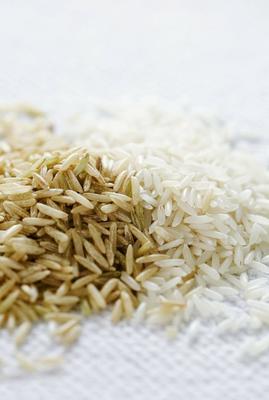 吉林大米 舌尖上的東北瑰寶