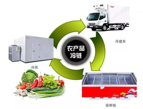 電商助農正發展 配套設施與科技項目代理服務助力鄉村振興